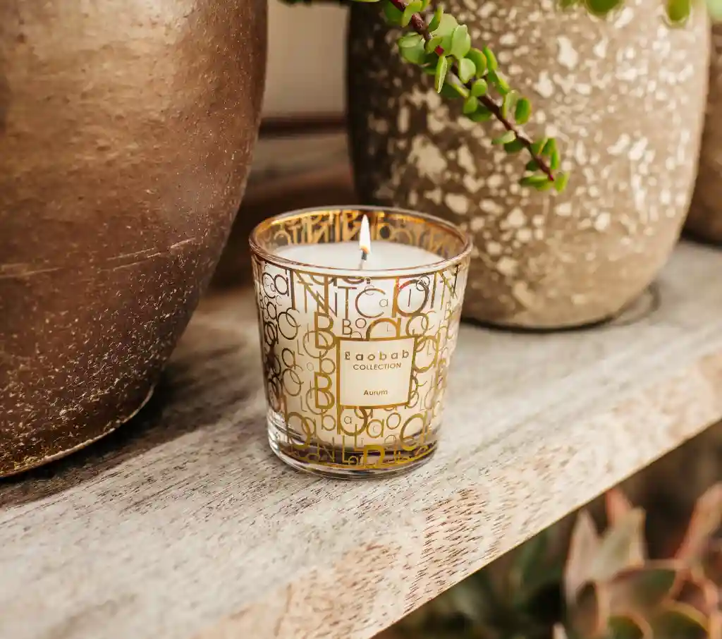 Baobab candle representing improved data visibility with Odoo