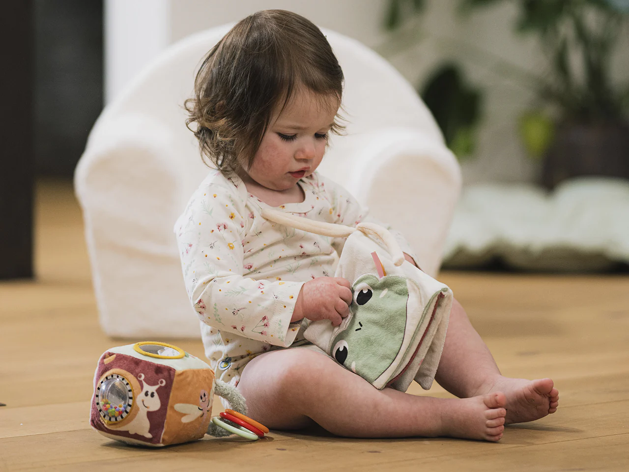 Optimized pick-pack-ship delivery process for Dreambaby customers